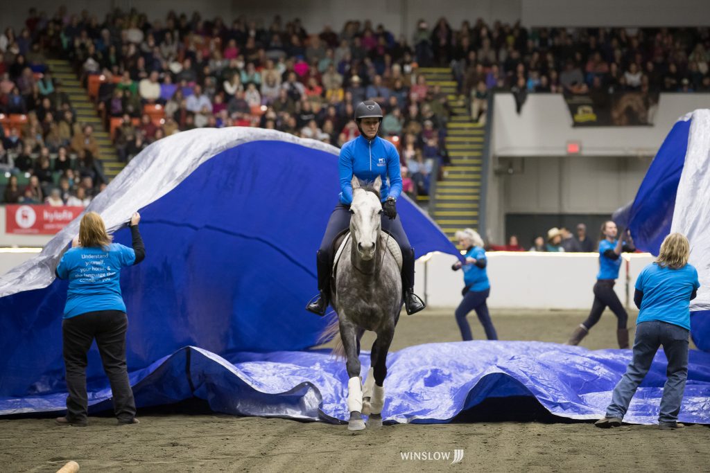 181110_J2X_6610 Horse World Expo